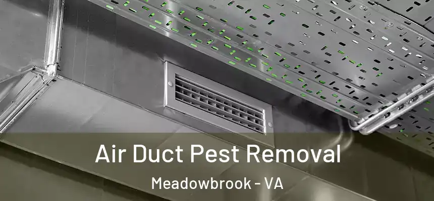  Air Duct Pest Removal Meadowbrook - VA