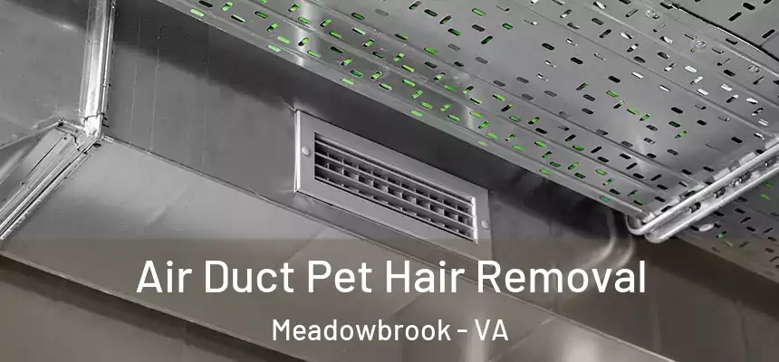  Air Duct Pet Hair Removal Meadowbrook - VA