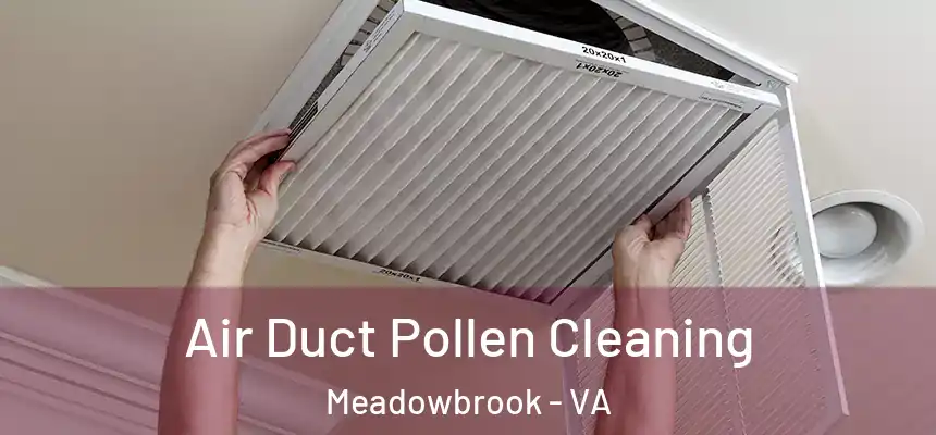  Air Duct Pollen Cleaning Meadowbrook - VA