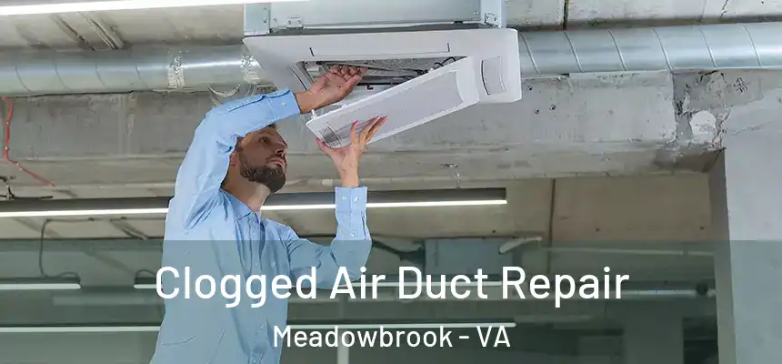  Clogged Air Duct Repair Meadowbrook - VA