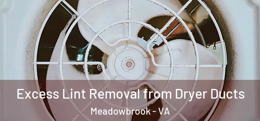  Excess Lint Removal from Dryer Ducts Meadowbrook - VA