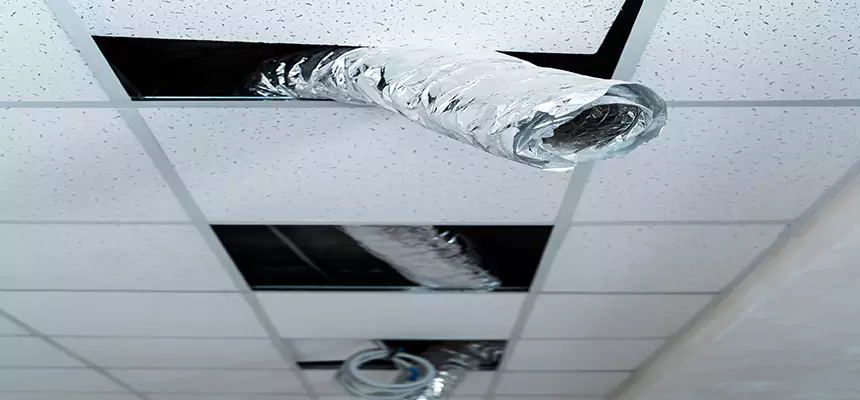 Affordable HVAC Sanitizing After Pest Removal in Meadowbrook