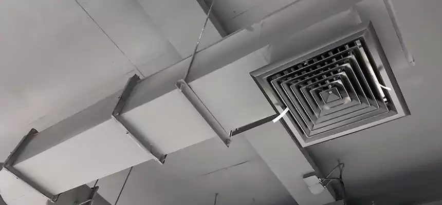 Our Pest Removal From Ducts Services in Meadowbrook, VA