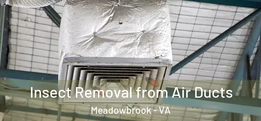  Insect Removal from Air Ducts Meadowbrook - VA