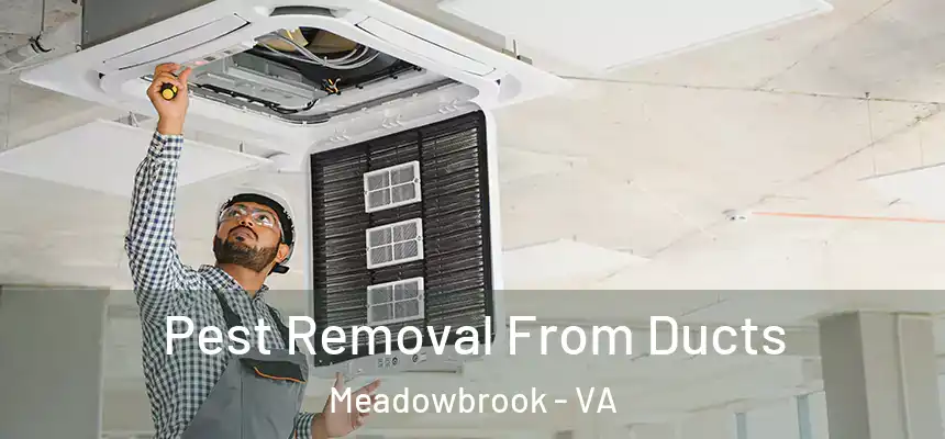  Pest Removal From Ducts Meadowbrook - VA
