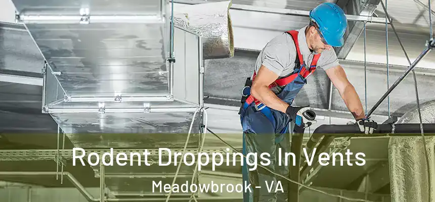  Rodent Droppings In Vents Meadowbrook - VA
