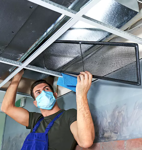 About Air Duct Bacteria Removal in Meadowbrook
