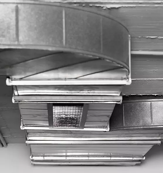 Professional Air Duct Pet Hair Removal in Meadowbrook, VA