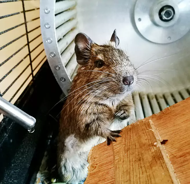 Why Homeowners & Businesses Trust Us Meadowbrook, VA