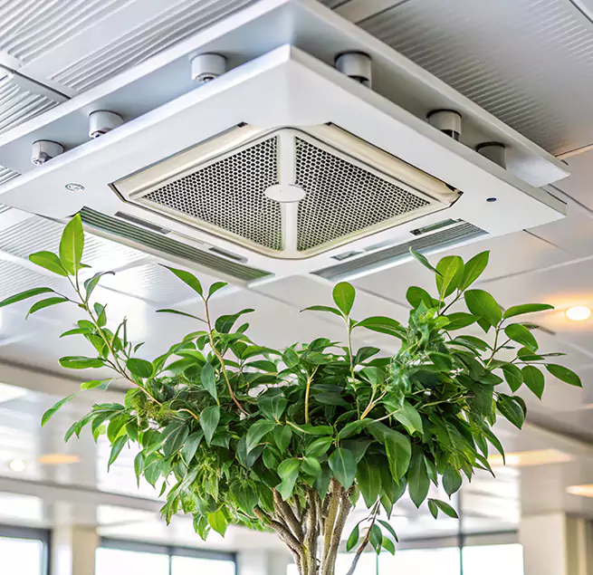 Why Homeowners & Businesses Trust Us in Meadowbrook, VA