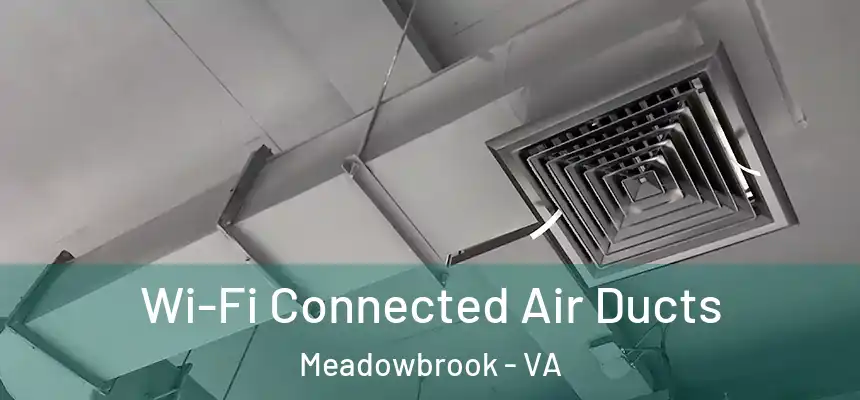  Wi-Fi Connected Air Ducts Meadowbrook - VA